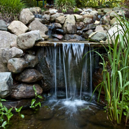 Water Features
