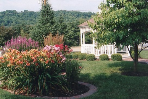 tn 1200 b1a9d65dfd006a3c3e905258a3222754.jpg